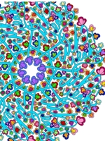 NSFW Mandalas 1678122343 Book Cover