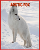 Arctic Fox: Childrens Book Amazing Facts & Pictures about Arctic Fox B08W7SQ6GR Book Cover