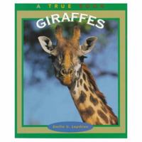 Giraffes (True Book) 0516201581 Book Cover