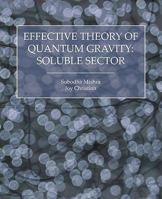 Effective Theory of Quantum Gravity: Soluble Sector 1845494768 Book Cover