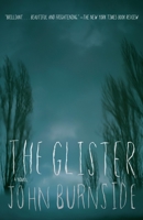 The Glister 0385527640 Book Cover