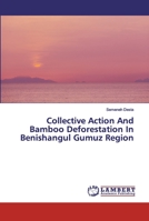 Collective Action And Bamboo Deforestation In Benishangul Gumuz Region 6200326231 Book Cover