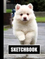 Sketchbook: Beautiful White Puppy Dog Cover Design | White Paper | 120 Blank Unlined Pages | 8.5" X 11" | Matte Finished Soft Cover 1712536699 Book Cover