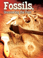 Los fósiles, hallazgos del pasado: Fossils, Uncovering the Past (Let's Explore Science) 1617419842 Book Cover