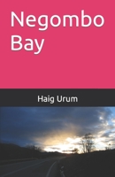 Negombo Bay B08N5PRDH7 Book Cover