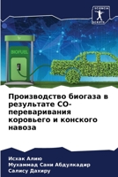 Производство биогаза в результате CO-переваривания коровьего и конского навоза 6206186946 Book Cover