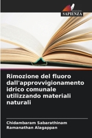 Rimozione del fluoro dall'approvvigionamento idrico comunale utilizzando materiali naturali (Italian Edition) 6202471816 Book Cover