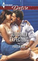 Suddenly Expecting (Mills & Boon Desire) 0373733046 Book Cover
