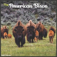 American Bison 2022 Calendar: Official Bison Animal 2022 Calendar 16 Months B093B6J9N6 Book Cover