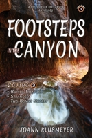 Buried Treasure and Stranded: A Footsteps in the Canyon Anthology 1613146663 Book Cover