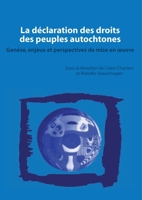 La déclaration des droits des peuples autochtones: Genèse, enjeux et perspectives de mise en oeuvre 2336305143 Book Cover