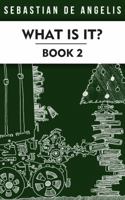 What Is It Book 2: Drawings 251 to 500 0967994713 Book Cover