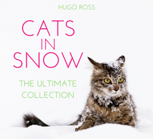 Cats In Snow 1785300601 Book Cover