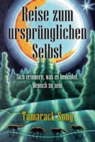 REISE ZUM URSPRÜNGLICHEN SELBST: Sich erinnern, was es bedeutet, Mensch zu sein (German Edition) B0DQJPHT7K Book Cover