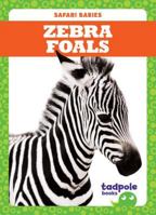 Zebra Foals 1641282509 Book Cover