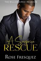 A Surprise Rescue: A Contemporary Christian Billionaire-Amnesia Romance 1961159260 Book Cover