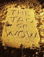 The Tao of Wow 096292024X Book Cover