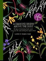 A Diamond Rising Above the Dust: 90 Days of declaring God's word over your life and setting the captive free! B0GZS9MPMC Book Cover