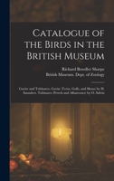 Catalogue of the Birds in the British Museum: Gavioe and Tubinares. Gaviæ (Terns, Gulls, and Skuas) by H. Saunders. Tubinares (Petrels and Albatrosses) by O. Salvin 1018401385 Book Cover
