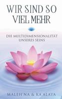 Wir sind so viel mehr: Die Multidimensionalität unseres Seins 3748172303 Book Cover