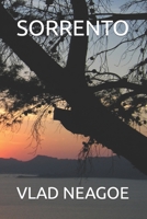 Sorrento B0BTBYSWYN Book Cover