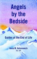 Angels by the Bedside: Guides at the End of Life 0998436704 Book Cover