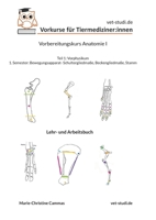 Vorbereitungskurs Anatomie I: Vorkurse für Tiermediziner: innen (German Edition) 3819242929 Book Cover