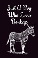 Just A Boy Who Loves Donkeys: Donkey Themed Gifts | Gift For Donkey Lovers | Great Gift Ideas, Lined Journal To Write In 1672082900 Book Cover