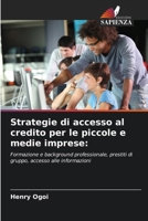 Strategie di accesso al credito per le piccole e medie imprese:: Formazione e background professionale, prestiti di gruppo, accesso alle informazioni (Italian Edition) 6207664752 Book Cover