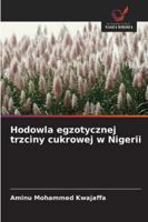 Hodowla egzotycznej trzciny cukrowej w Nigerii (Polish Edition) 363980953X Book Cover