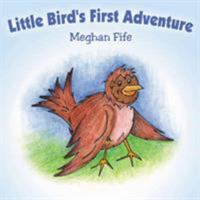 Little Bird's First Adventure 1420850717 Book Cover