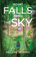 What Falls From the Sky 1958729272 Book Cover