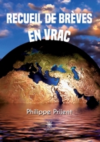 Recueil de brèves en vrac B0C36TCXYR Book Cover