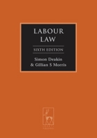 Labour Law 1849463417 Book Cover