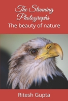 The Stunning Photographs: The beauty of nature B08K4SZ15N Book Cover