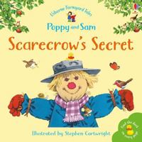 The Scarecrow's Secret 0746060505 Book Cover