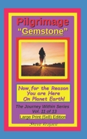 Pilgrimage "Gemstone". Now, for the Reason you are here on Planet Earth.: The Journey Within Series, Vol. 11 of 13. Large Print (5x8) Edition. (The Journey Within Series, Large Print) B0GSK577C8 Book Cover