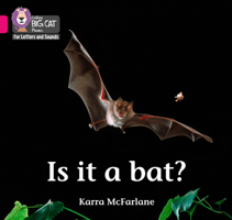Is it a Bat? 0008351910 Book Cover