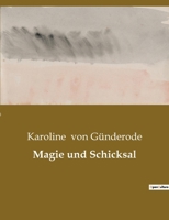 Magie und Schicksal 2385086069 Book Cover