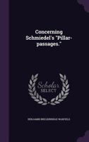 Concerning Schmiedel's "Pillar-Passages" 1347448187 Book Cover