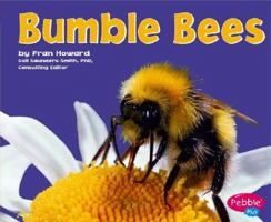 Bumblebees 0736851003 Book Cover