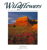 Wildflowers of the Plateau & Canyon Country 0944197418 Book Cover