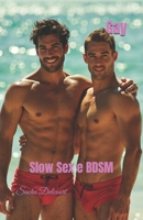 Gay: Slow Sex e BDSM (Portuguese Edition) B0GQ284J2H Book Cover
