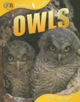Owls (QED Animal Lives) 1420681117 Book Cover