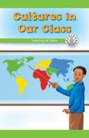 Cultures in Our Class: Looking at Data 1538351927 Book Cover