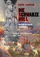 Die schwarze Null: Das Ende des letzten Armenhauses 3754300032 Book Cover