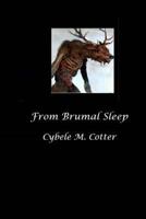 From Brumal Sleep -- 2nd Edition 1981339957 Book Cover