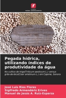 Pegada hídrica, utilizando índices de produtividade da água: No cultivo de trigo(Triticum aestivum L.) versus grão-de-bico(Ciser arietinum L.) em Cajeme, Sonora (Portuguese Edition) 6207672593 Book Cover