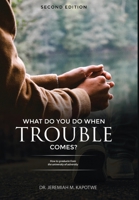 What Do You Do When Trouble Comes? 1636845800 Book Cover
