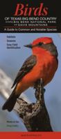Birds of Texas Big Bend Country Incl. Big Bend National Park & Davis Mtns.: A Guide to Common & Notable Species 0982621116 Book Cover
